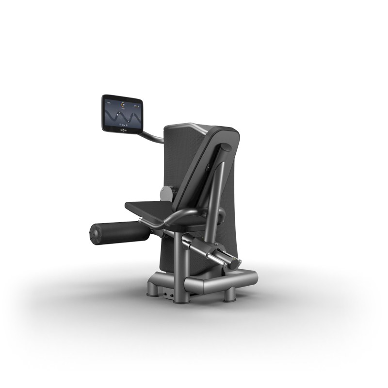 M1 Leg Extension.png
